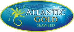 Large Logo - Atlantic Gold