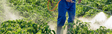 Enviromental Impact Liquid Seaweed Fertiliser