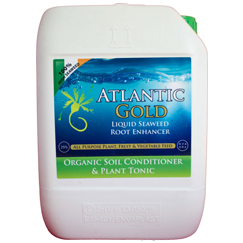 Atlantic Gold Superior 25